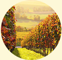 Node-Image-Test-Small.jpg