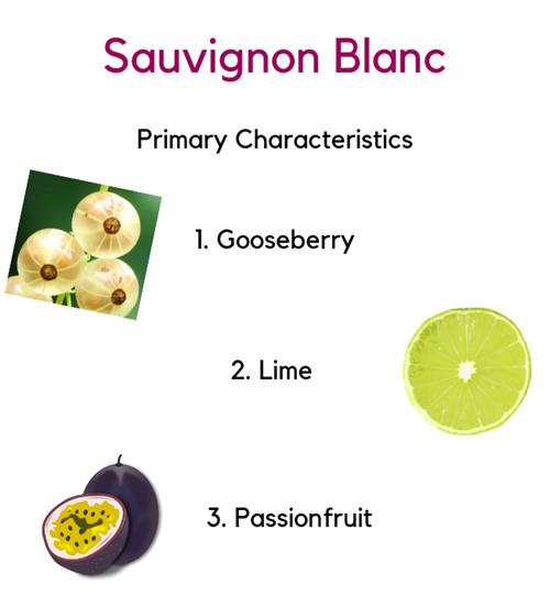 Sauvignon Blanc.jpg