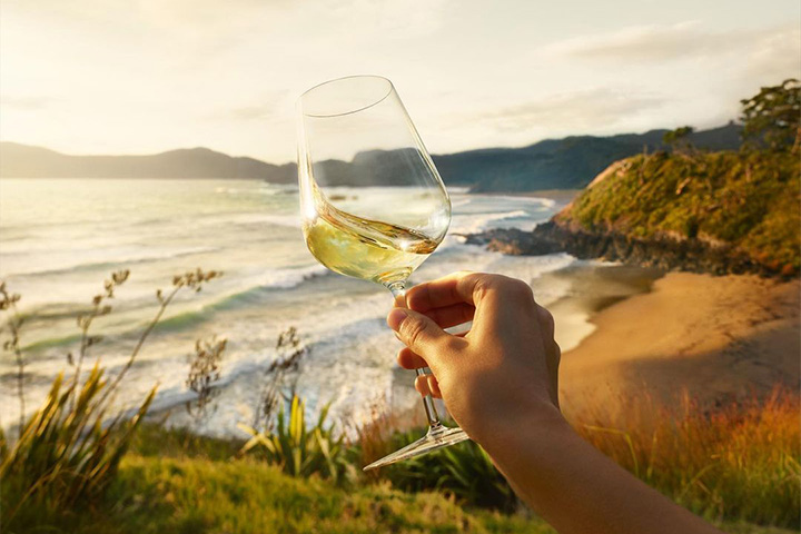 New Zealand Sauvignon Blanc.jpg