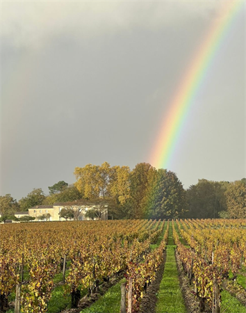 Château Smith Haut Lafitte