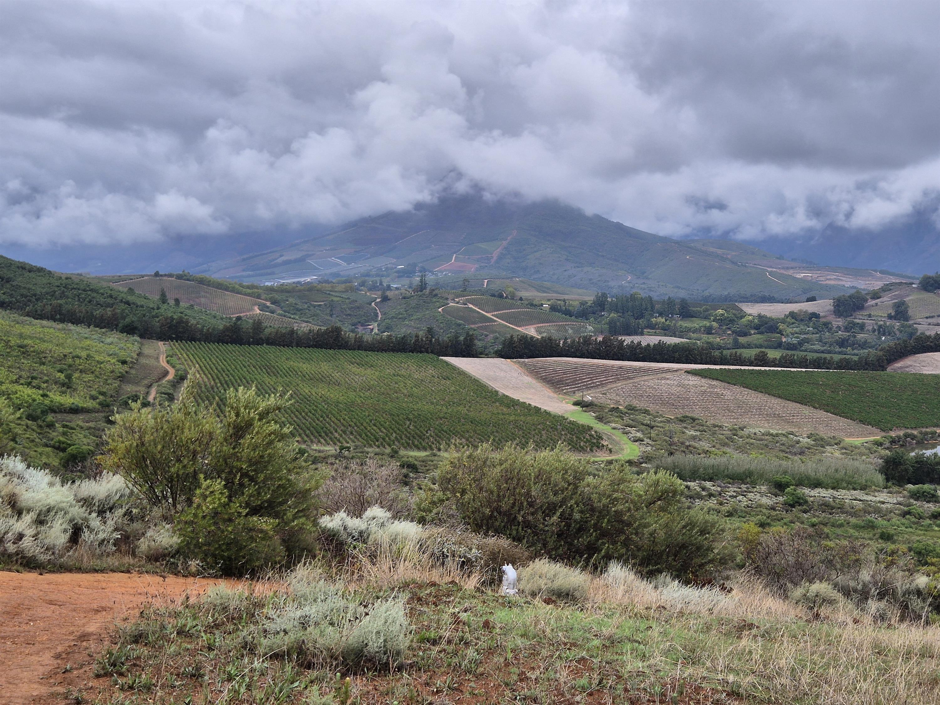 Image of Newton Johnson view from restaurant